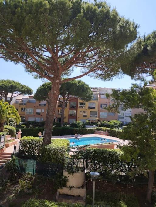Studio 4 Couchages Avec Piscine D'Ete Vue Port Agde Ngoại thất bức ảnh